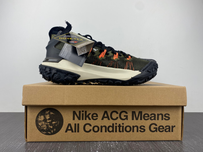 Nike ACG MOUNTAIN FLY LOW 