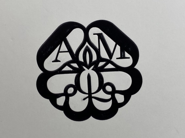 ale*d*r M*Q*en sole sneakers black