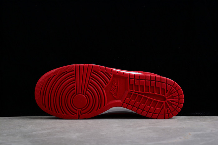 NIKE Dunk Low SG DD1391-602