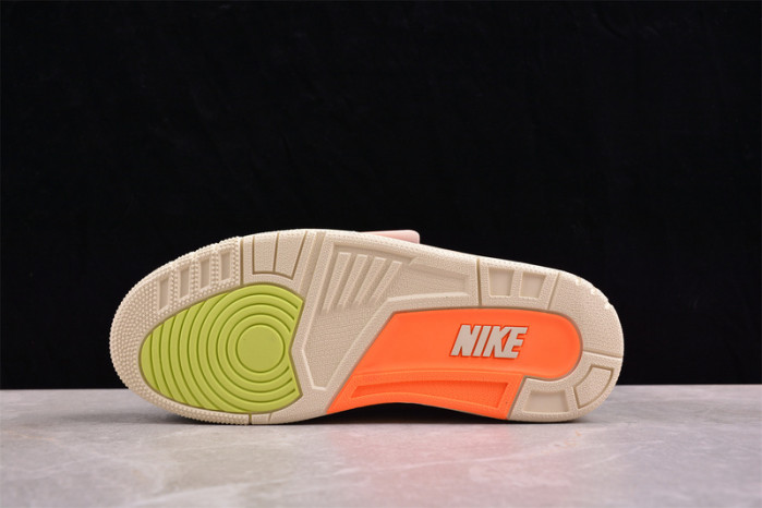 nina Ch*el abney x air jordan 3 retro sp 