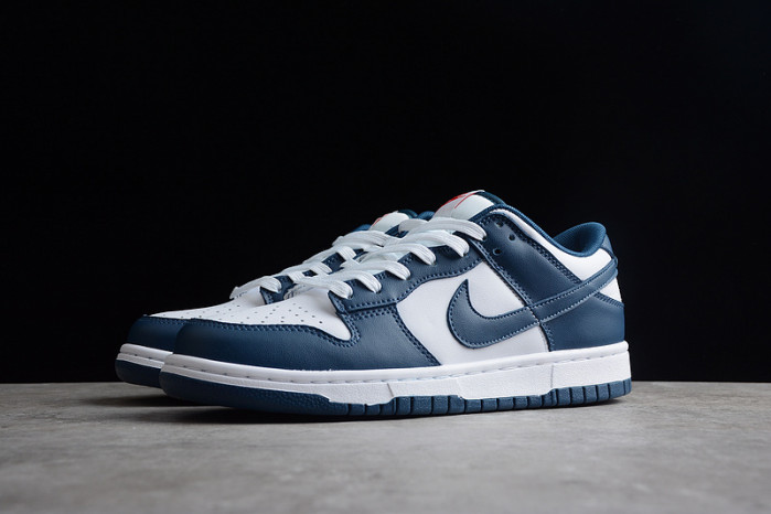 NIKE Dunk Low "Valerian Blue DD1391-400