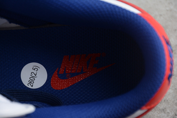 NIKE DUNK LOW "USA" DD1503-119