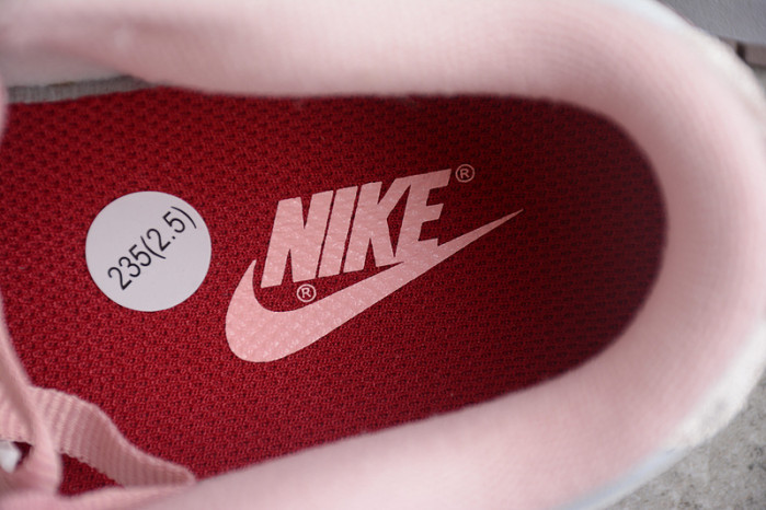 NIKE SB DUNK LOW PRO DO6485-600