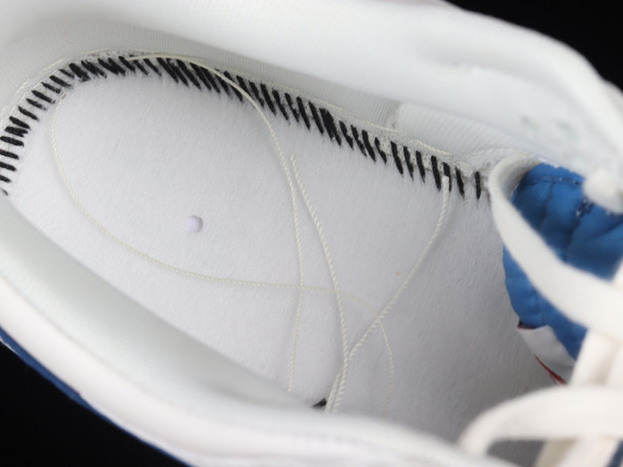 Nike SB Dunk Low DX3198-133