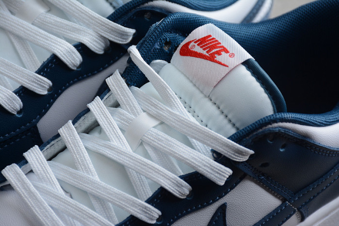 NIKE Dunk Low "Valerian Blue DD1391-400