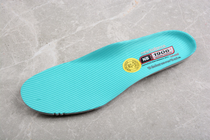 New Balance 1906 M1906RTI