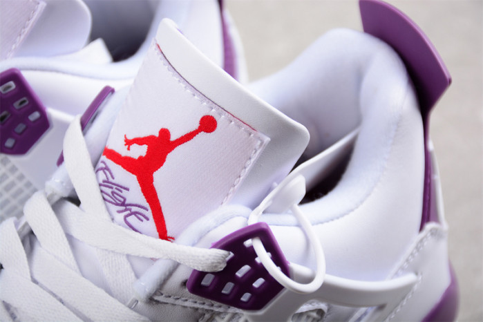 Nike SB x Air Jordan 4 DR5415-150