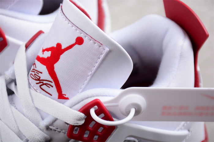 Nike SB x Air Jordan 4 DR5415-160