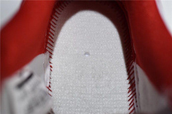 Nike Air Force 1 Low Fo Fi Fo AQ5107-100